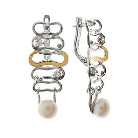 Silver and Gold Earrings