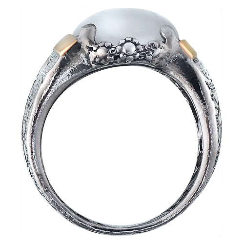 Silver and Gold ring