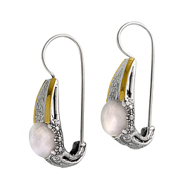 Silver and Gold Earrings