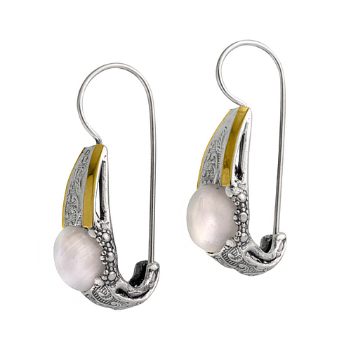 Silver and Gold Earrings