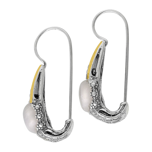 Silver and Gold Earrings