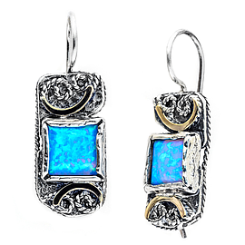 Silver and Gold Earrings