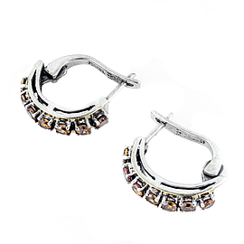 Silver and Gold Earrings