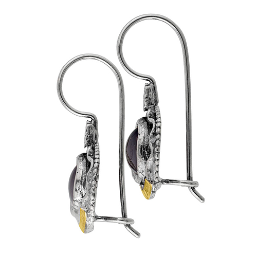 Silver and Gold Earrings