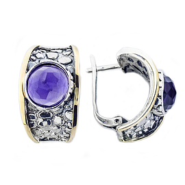 Silver and Gold Earrings