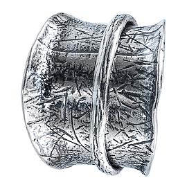 Silver Spinner Ring