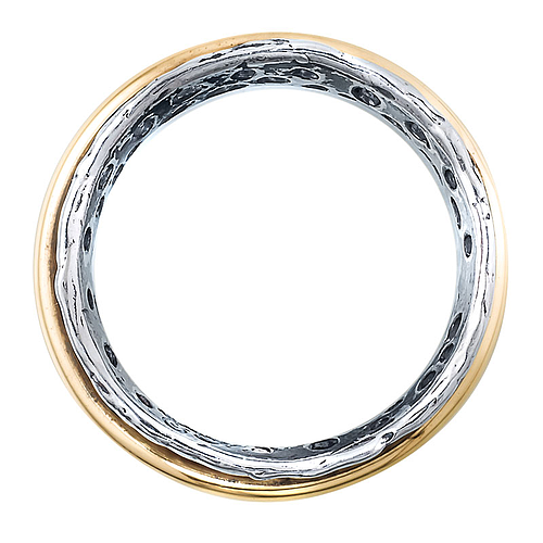 Silver and Gold Ring