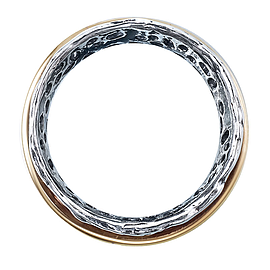 Silver and Gold Ring