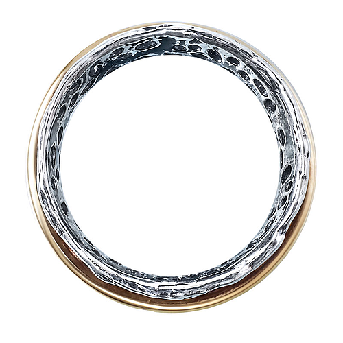 Silver and Gold Ring