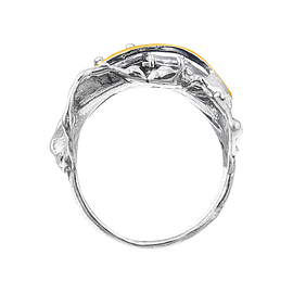 SIlver and Gold Ring