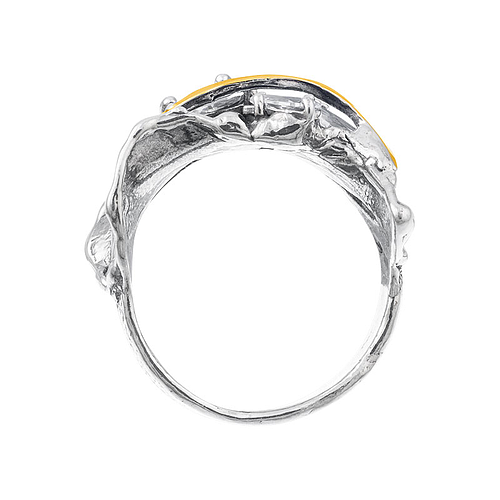 SIlver and Gold Ring