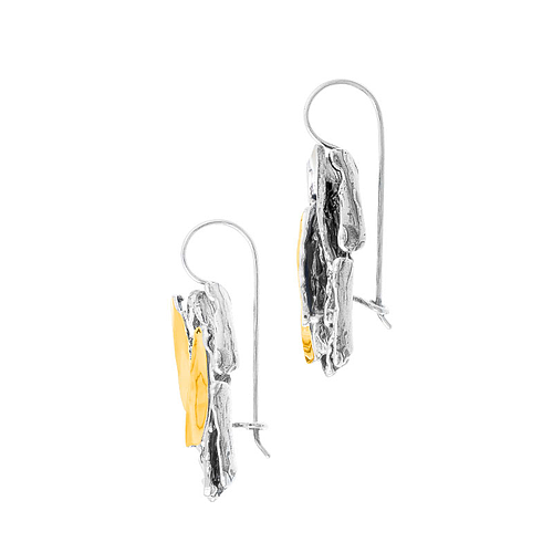 Silver and Gold Earrings