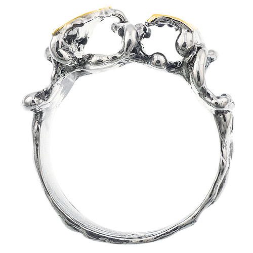 Silver and Gold Ring