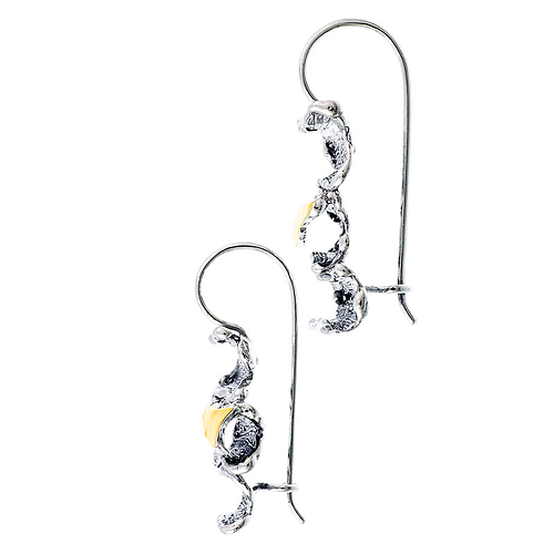 Silver and Gold Earrings