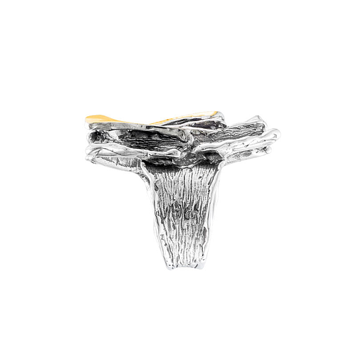 Silver and Gold Ring