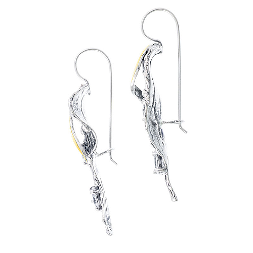 Silver and Gold Earrings