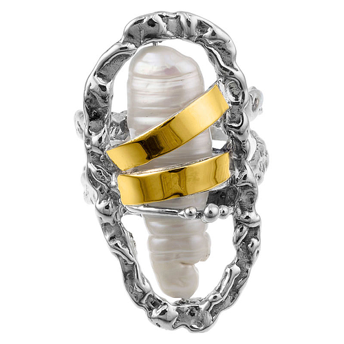 Silver and Gold Ring