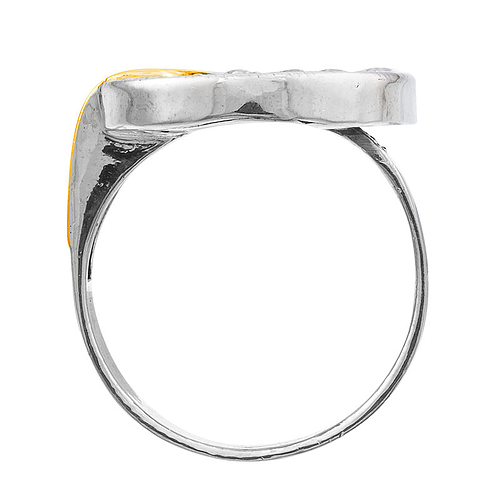 Silver and Gold Ring