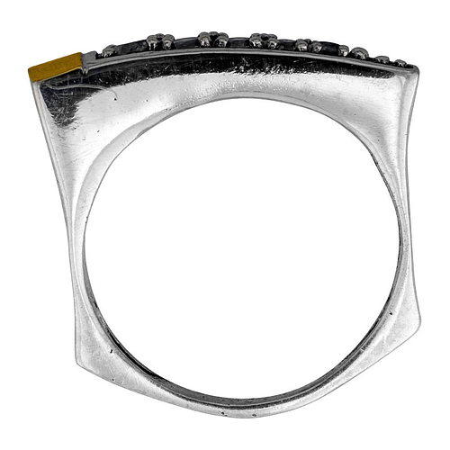 Silver and Gold RIng