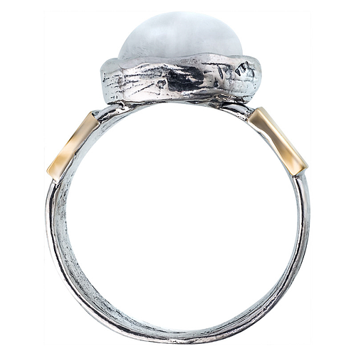 Silver and Gold Ring