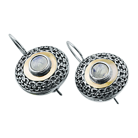 Silver and Gold Earrings