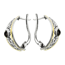 Silver and Gold Earrings