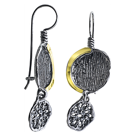 Silver and Gold Earrings