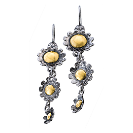 Silver and Gold Earrings