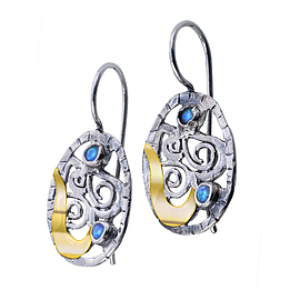 Silver and Gold Earrings