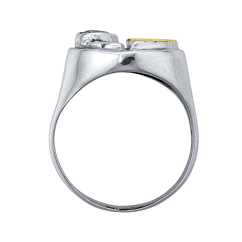 Silver and Gold Ring