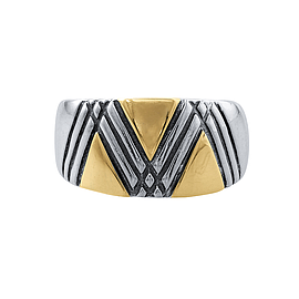 Silver and Gold Ring