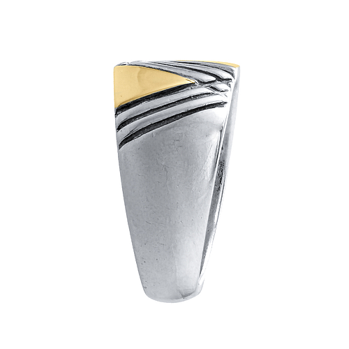 Silver and Gold Ring