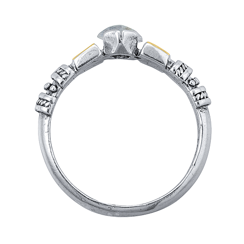 Silver and Gold Ring