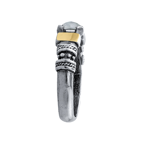 Silver and Gold Ring