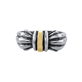 Silver and Gold Ring