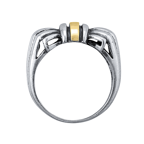 Silver and Gold Ring