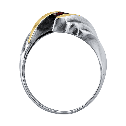 Silver and Gold Ring