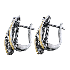 Silver and Gold Earrings