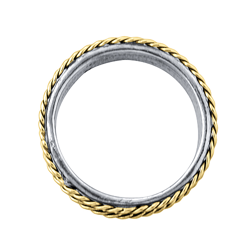 Silver and Gold Ring