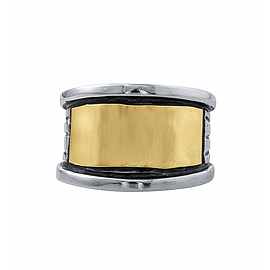 Silver and Gold Ring