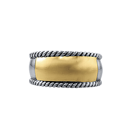 Silver and Gold Ring