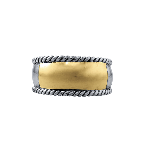 Silver and Gold Ring