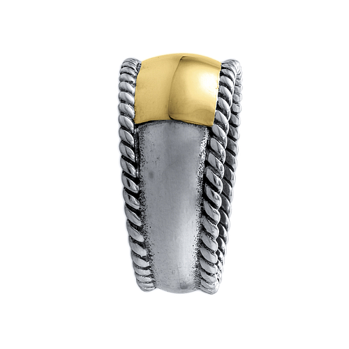 Silver and Gold Ring