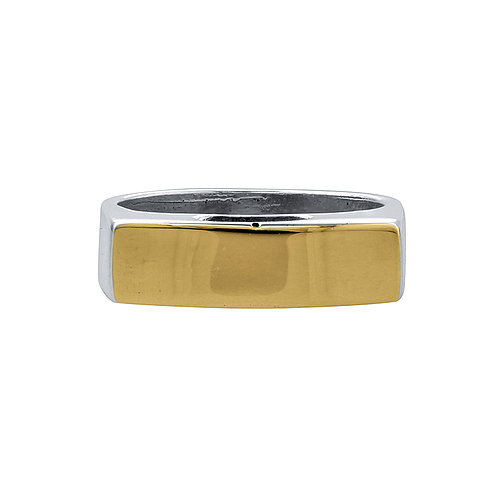 Silver and Gold Ring