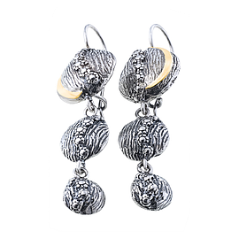 Silver and Gold Earrings