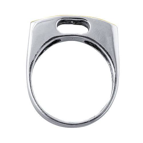 Silver and Gold Ring