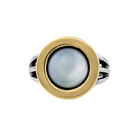 Silver and Gold Ring