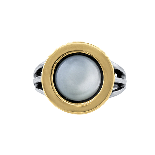 Silver and Gold Ring