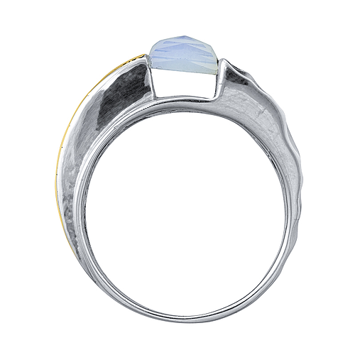 Silver and Gold Ring 