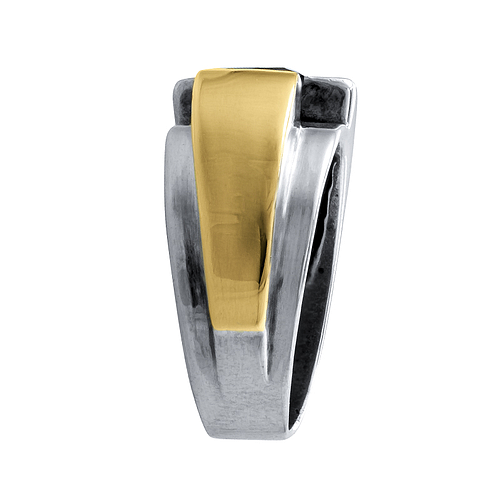 Silver and Gold Ring